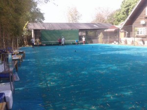 20150305_101811